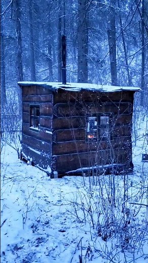 Tiny 8x8 Off-Grid Cabin