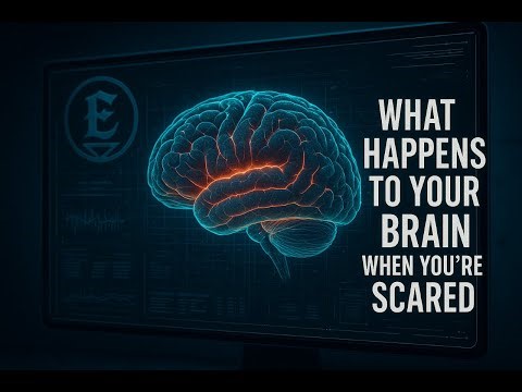 Inside Your Brain: The Science of Fear Revealed