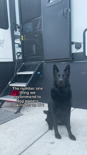 Such a small and overlooked addition to an RV, but one that can make a HUGE difference. Our outdoor shower is an absolute game changer when full-timing with dogs. We don’t know what we would do without it! What is one accessory on your RV you wouldn’t be able to live without? 🚿 #rvlife #fulltimerv #travel #travelcouple #rv #fulltimetravel #forestriver #rvaccessories #rvhack