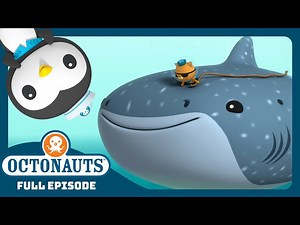 @Octonauts - 😱 The Enormous whale Shark 🦈 | Season 1 | Full Episode | SHARK WEEK - Videos For Kids