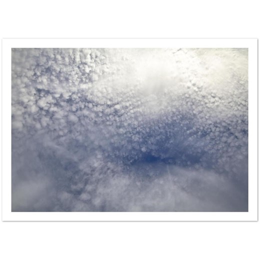 Blank Greeting Cards (5x7", Pack of 10) | Nature & Art Designs | John Hartog