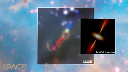 Discovery of a young Large Magellanic Cloud star system with planet-forming disk