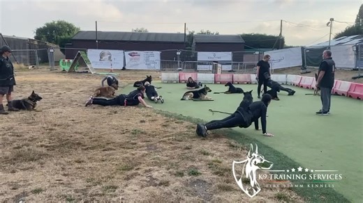 52K views · 2.1K reactions | A Very difficult exercise tonight but...