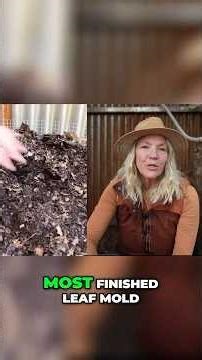 Leaf Mold Secrets: Boost Soil Health for YEARS!