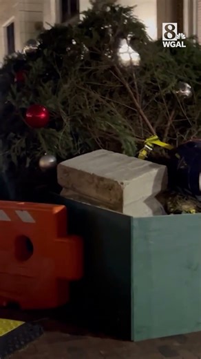 Harrisburg, Pa., Christmas tree knocked over during windy weather