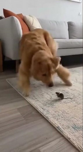 🌙 Real Life LIVE From My Home – Don’t Miss This!