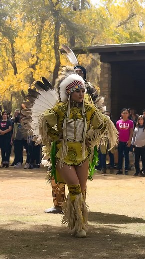 Native American Indigenous Origins Explained