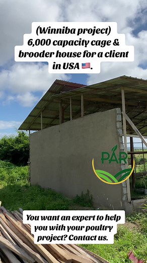 Winniba Project Update: Poultry Farming in Progress