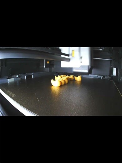 10 ducksn #timelapse #3dprinting #subscribe #special