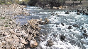 111 reactions · 12 shares | Happy new year, we hope you are standing ok in this cold weather..here in Israel the year started with some blessed rains we long wished for, and the Jordan river is flowing nicely again | Liorel, Art from Israel | Facebook