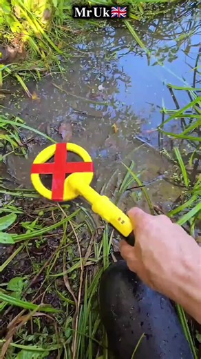 Find a wallet with cash. Find dollars on the beach. the lost money finds. #creatorsearchinsights #cash #money #dollar #foryoupage @TikTok @tiktokglobal @TikTok UK @tiktok creators @tiktokshop_ph @TikTokworldwide