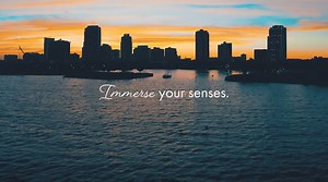 138 reactions · 36 shares | In St. Pete/Clearwater, every detail is more vivid, and more vibrant than you could ever imagine. Where soothing waves beckon you to explore it all. Where miles of white sand beaches meet world-class sunsets. Immerse your senses in St. Pete/Clearwater. ️☀️ #ImmerseYourSenses #VisitStPeteClearwater | Visit St. Pete-Clearwater | Facebook