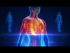 How do the LifeWave patches work?