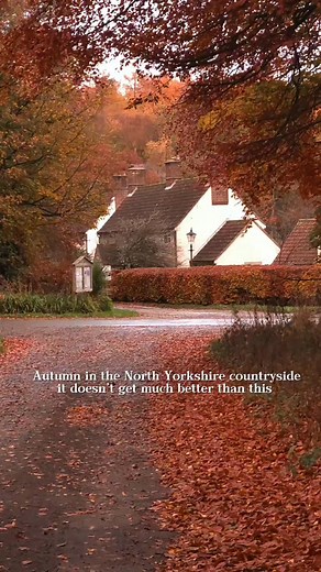 20K views · 610 reactions | Autumn in the North Yorkshire countryside, it doesn’t get much better than this  Golden leaves, quiet forest paths, and that crisp autumn air. Simple days like this are what countryside life’s all about. #NorthYorkshire #CountrysideLife #AutumnInYorkshire #YorkshireLiving #fblifestyle #autumn #FALLVIBES | Adventures In Yorkshire | Facebook