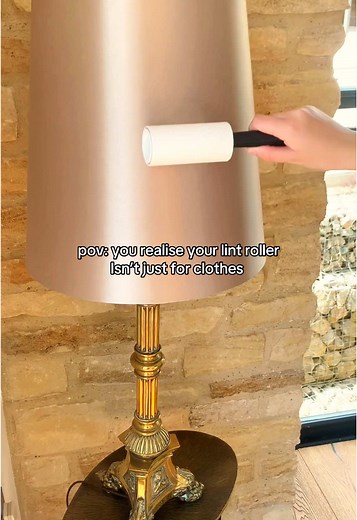 Anyone else use their lint rollers for everything?! ✨ 💡Lampshades 🛋️Furniture 🐾Pet beds #quickcleaning #cleantok #quickcleans #lintroller #petcleaning #pethome #pethousehold #cleanhomehappyhome #cleaninghack