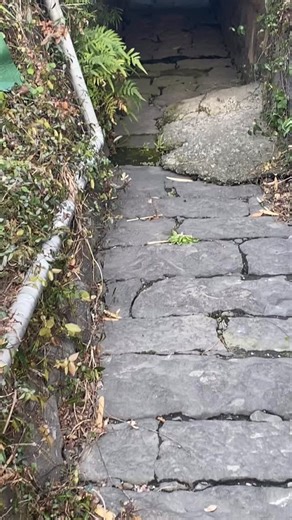 熊本歴史マダム on Instagram: "『八景水谷公園』 水源地や水の科学館もあるよね 水辺ばかりみて、地形は案外見ておらず しかも何を根拠に、この地をお茶屋として 当時の藩主の細川綱利公は『八景』としたのか⁉️（綱利公は水前寺成趣園も大きく整備） 何さま、水源地の上は崖地である 元は山室村の八景水谷 山室は山漏（やまむろ）で 山からの水が出ていたのだろう 侵食による崖地なのだろうか？？ 日本には有名な八景がある 近江八景やら金沢八景など 水前寺成趣園は富士山などを見立てて造っているが この八景水谷はここから眺めた風景を 八景にしている こんな考察してみたが合っているだろうか？ もしお分かりであれば教えて頂きたい🙇‍♀️ 三岳青嵐→一ノ岳ニノ岳三ノ岳 金峰白雪→一ノ岳と重複するが金峰山 熊城暮靄→熊本城は夕暮には靄（モヤ） 壷田落雁→坪井の田畑に雁の群れ 浮島夜雨→嘉島まで見えたのか！ 立山秋月→立田山の事だろう 亀井晩鐘→亀井城跡のお寺の鐘の音 深林紅葉→北側の林の紅葉だろうか？ 水辺ではなく崖地の上からだと 綺麗に見えるんだが、どうだろう？ #熊本 #歴史 #散歩"