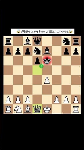 lncredible brilliant chess moves.😱