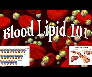 Blood Lipids: Cholesterol and Triglycerides