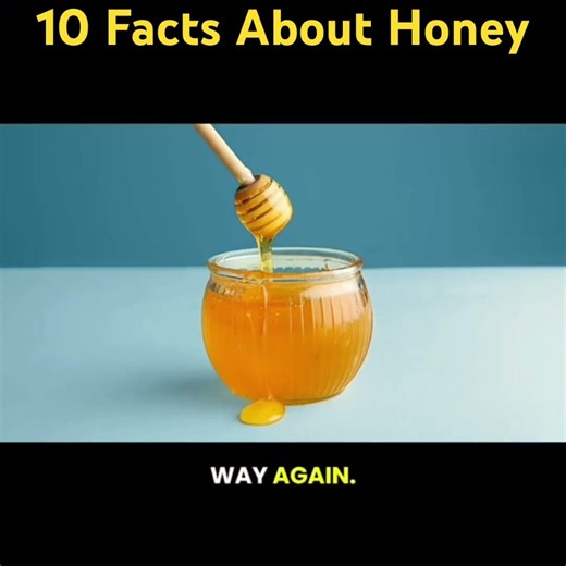 10 Facts About Honey You Probably Didn’t Know About