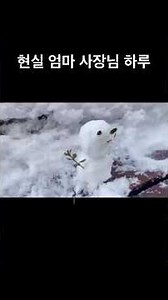 현실 엄마 사장님 하루