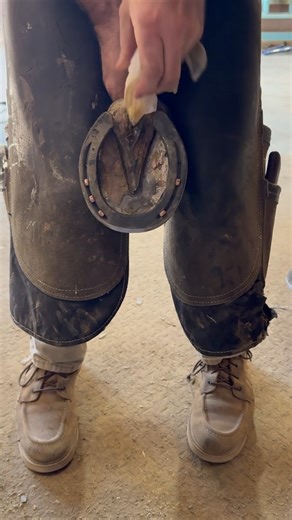 28K views · 168 reactions | Here is a great hoof care tip on how to clean and disinfect a deep and tight central sulcus. This method can help prevent and treat hoof-related issues, such as Thrush. A special thanks to Shane Westman of Westman Farriery for sharing this tip! #hoofcare #horse #farrier | Life Data Labs Inc. | Facebook