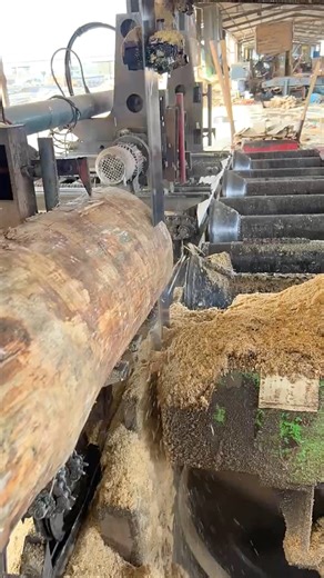 Wood in progress 🪚✨ #TimberCraft #woodworking #sawmill #timberwork #woodcutting #carpentrylife #lumberwork #woodprocessing #diywood | TimberCraft