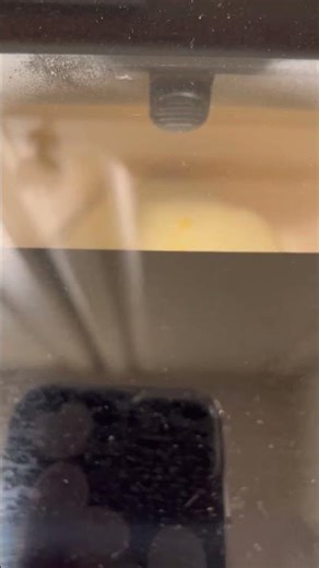 I am making bread machine ￼