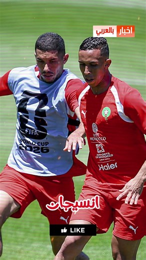 See what Mohamed Ouahbi did during the players' training session