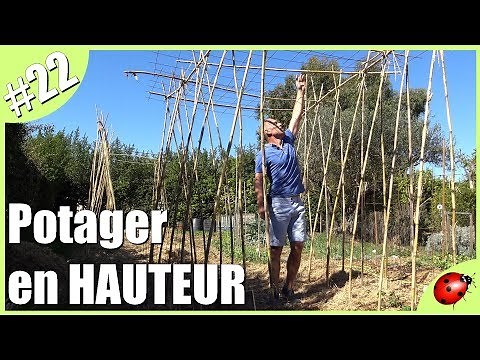 DONNER de la HAUTEUR au potager #2019