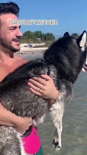 MEEKA LEARNS HOW TO SWIM! 🤩😍 | Meeka The Husky