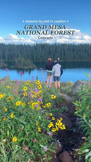 Grand Mesa National Forest is a HIDDEN 👏🏼 GEM 👏🏼 in Colorado. Grand Mesa is the largest flat top mountain in the world resting at 10,000 feet. It has over 300 beautiful sub-alpine & alpine lakes surrounded by Aspen and Blue Spruce trees. GMNF is larger than Rocky Mountian National Park at 500 sq miles 🤭🗺️ GMNF rocks because you can… 🚣‍♀️ Explore one of the 300 pristine lakes 🌲 Enjoy a less crowded outdoor experience compared to nearby National Parks 🦅 Admire wildlife like mule deer, bla