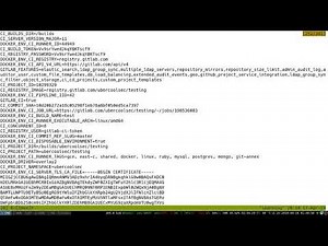 Gitlab CI Runner docker in docker (DIND) privilege escalation