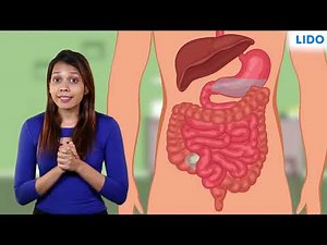Parts of the human digestive system | Digestive System | Class 9 Science ICSE