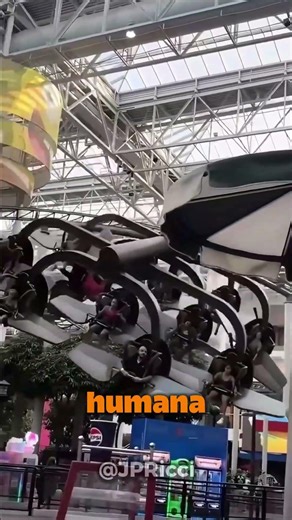 This toy turned into a human propeller 🎢