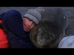 man plays with some thicc seal pups [Part 1.1]