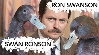 A hilarious meeting as a Ron Swanson lookalike meets her twin sister