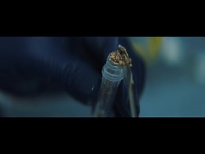 Accurately measure viral load & pathogens or other biomarkers in environmental samples with dPCR