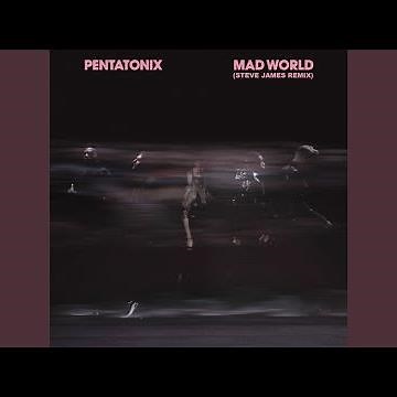 Mad World (Steve James Remix)
