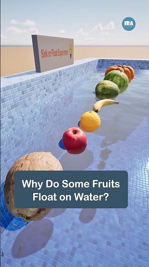 The Science behind it! Why some fruits float?