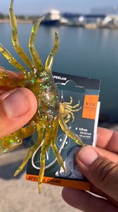 561K views · 3.9K reactions | Pêche dorade Comment attacher le crabe #pesca #fishing #surfcasting | Crazy big baits | Facebook