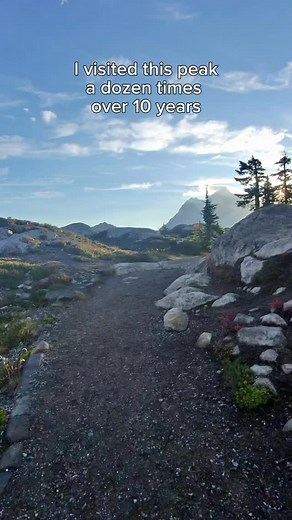 I waited for the moon to set on top of a mountain. 🏔️ - Mount Baker 📍- Artist Point 📷- Nikon D800 🌟- Persieds Meteor Shower A half moon setting is dim enough to allow the stars to shine though it’s brilliance. After waiting for a year, planning for two weeks and driving for four hours, all I had to do was wait and press a button. Easy. Want details on how to add a red dot of your own? Holler at me 💬 ⬇️ #art #photography #stars #sold | Jason Matias - artist