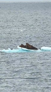 Mastering Visual Zoom with iPhone 16 Pro | Kyle Go Espina