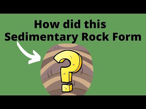 Clastic Sedimentary Rocks