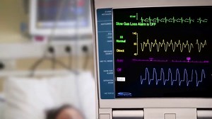 Documentary: Eating you alive