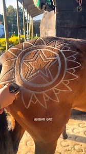 Cool patterns on a horse! | অজানা তথ্য