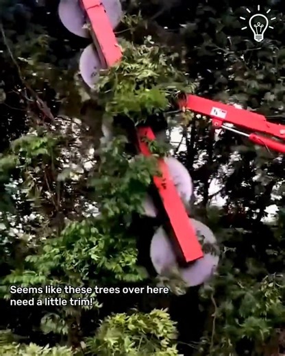 This tree trimming machine is no joke! 😤 | DIY Panda