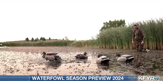 What you can expect for the 2024 ND waterfowl season