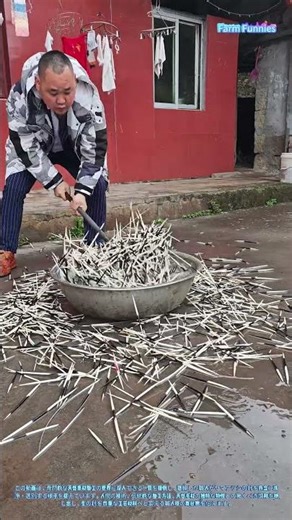 伝統的な毛材加工の技術：ヤマアラシの針の洗浄