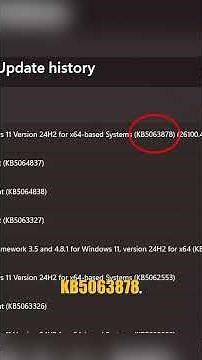 The Dreaded Windows 11 update (KB5063878)