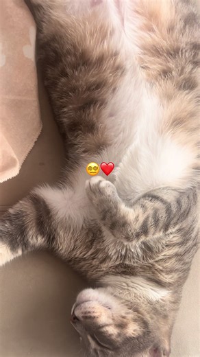 ❤️